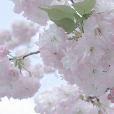 孟村福瑞交流群